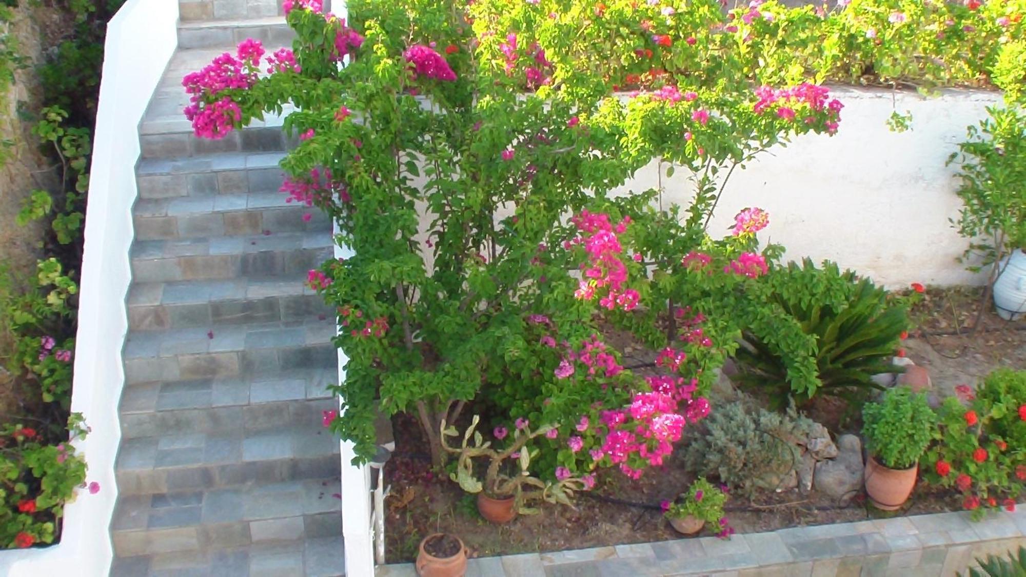 Creta Vassakis Studios Kefalos  Exterior photo